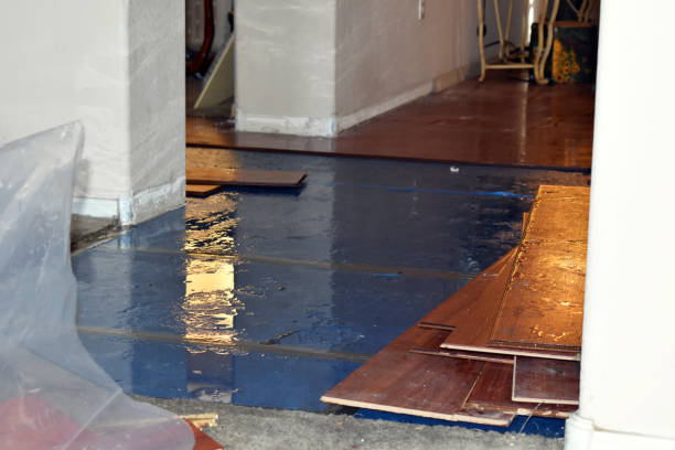 Professional Basement Flood Cleanup technician working in Arnett, WV